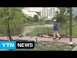 경남권 200mm 이상 '물 폭탄'...침수 피해 잇따라 / YTN (Yes! Top News)
