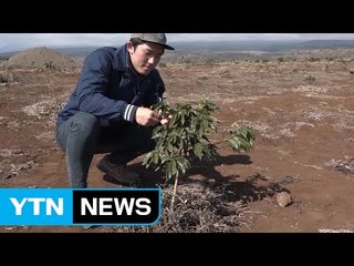 아프리카에서 '스펙' 대신 인생을 배운 청년 / YTN (Yes! Top News)