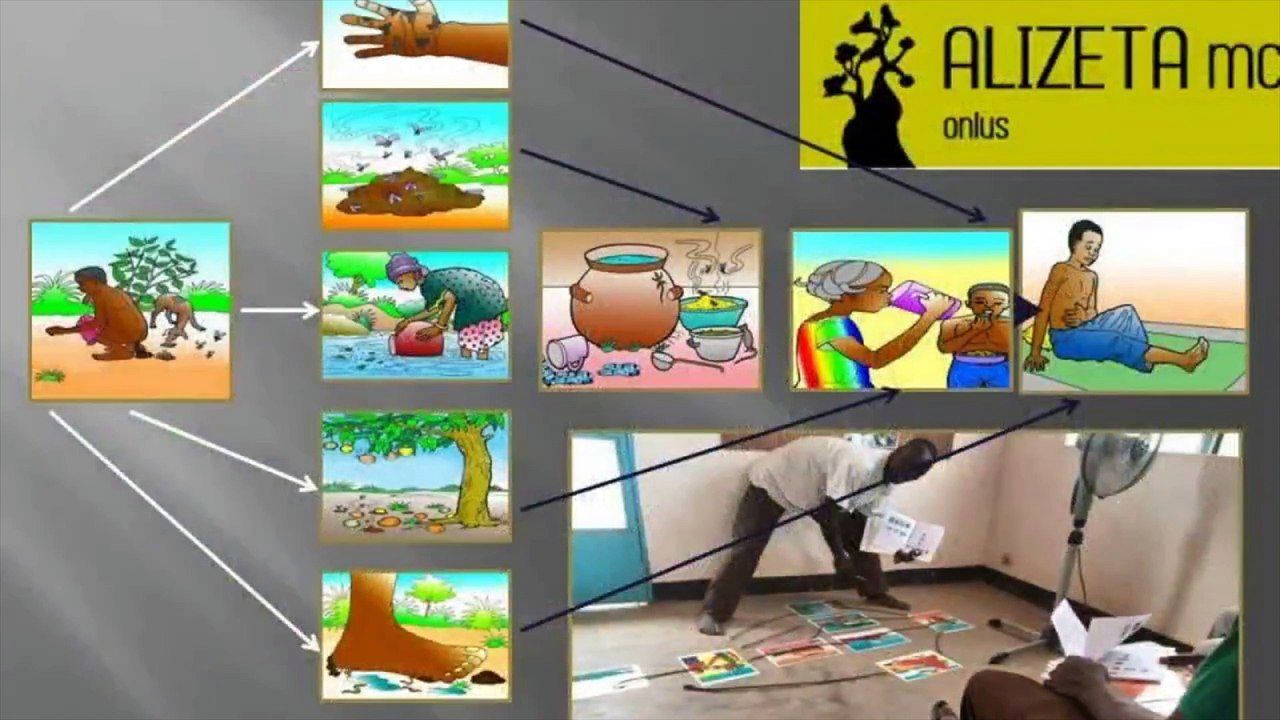 Les projets d'ALIZETA