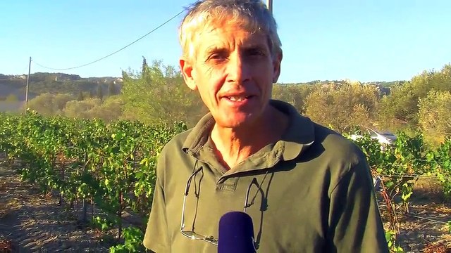 L'interview de José Pigaglio, vice-président de la Venise Provençale.