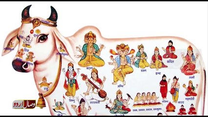 Misbehaving with muslims in india | بھارتی مسلمانوں پر توہم پرستی مسلط کرنے کی کوشش