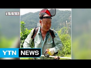 [좋은뉴스] 충북 옥천 '벌초 천사' 황응기 씨 / YTN (Yes! Top News)