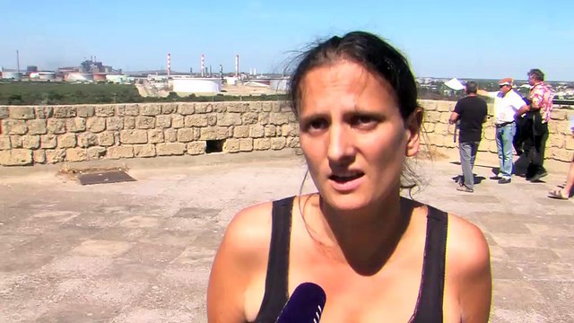 Sylvaine Goix, chargée de mission Santé et bio-imprégnation humaine