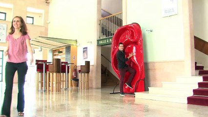 Les grandes oreilles expliquées par Caroline Sallenave, secrétaire générale du Théâtre des Salins.