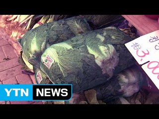 배추 한포기 1만 원..."추석 장보기 무섭다" / YTN (Yes! Top News)