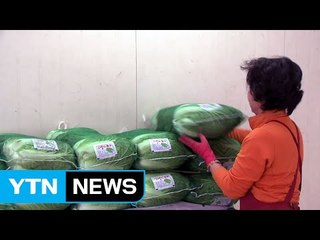 [쏙쏙] 배추값 폭등..."10월까지 높은 수준 유지" / YTN (Yes! Top News)