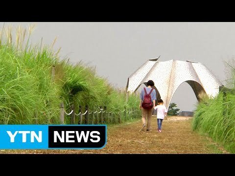 [날씨] 우박 동반 소나기...중부 늦더위 주춤 / YTN (Yes! Top News)
