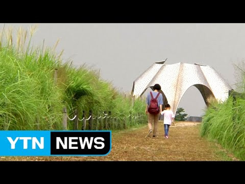 [날씨] 우박 동반 소나기...중부 늦더위 주춤 / YTN (Yes! Top News)