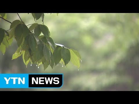 [날씨] 남부 비·곳곳 소나기...서쪽 늦더위 / YTN (Yes! Top News)