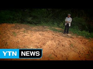 "추석 앞두고 가족들의 묘지가 사라졌습니다" / YTN (Yes! Top News)