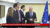 AB Bakanı Çelik, Hırvatistan Parlamentosu Avrupa İşleri Komitesi Başkanı Miloseviç'i Kabul Etti