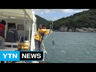 "오염된 바닷물 때문에 콜레라 발병" / YTN (Yes! Top News)