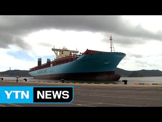 '해운 공룡' 상륙...득일까? 독일까? / YTN (Yes! Top News)
