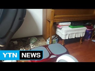 "이번 지진, 지하 12~13km의 깊은 곳에서 발생" / YTN (Yes! Top News)