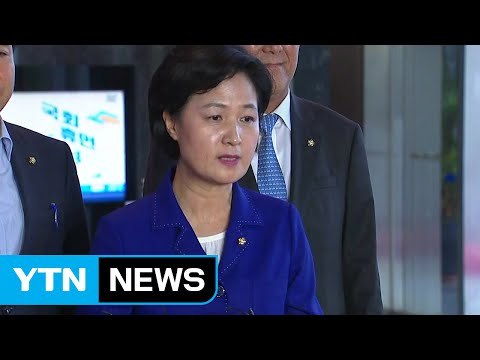 추미애, 청와대 회동 관련 브리핑 / YTN (Yes! Top News)