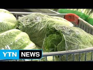 [쏙쏙] 추석 코앞인데 배춧값 여전히 '기세등등' / YTN (Yes! Top News)