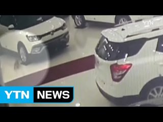 [영상] 갑작스러운 지진에 차량 밑으로 숨은 고양이 / YTN (Yes! Top News)