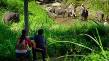 Jagga Josoos (2017) Full HIndi Movie Ranbir Kapoor Katrina Kaif ████████████ Aksar 2 Tumhari Sulu Firangi  Ittefaq Julie 2 Padmavati Golmaal Again Judwaa 2 Secret Superstar Sultan Baahubali Jab Harry Met Sejal Salman Khan Dangal  Badrinath Ki Dulhania