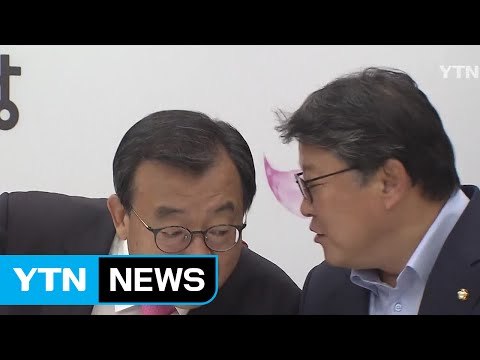 與 이정현 국민의당 사드 반대 재검토 입장 환영 / YTN (Yes! Top News)