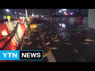 수산물 납품차 사고...도로에 광어 쏟아져 / YTN (Yes! Top News)