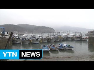 태풍 영향...선박 운항 중단·침수 발생 / YTN (Yes! Top News)