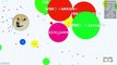 NBK IN THE TOP 10 - AGAR.IO DOMINATION - TEAMING IN AGARIO