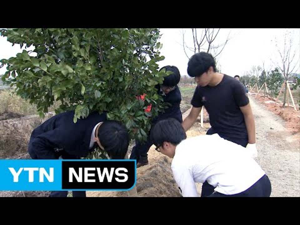 청년이 돌아오는 전남, 일자리 창출 대상 / YTN (Yes! Top News)