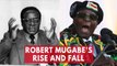 President Robert Mugabe's rise and fall