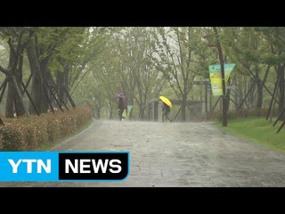 남부지방 호우 예보...부산 낮부터 많은 비 / YTN (Yes! Top News)