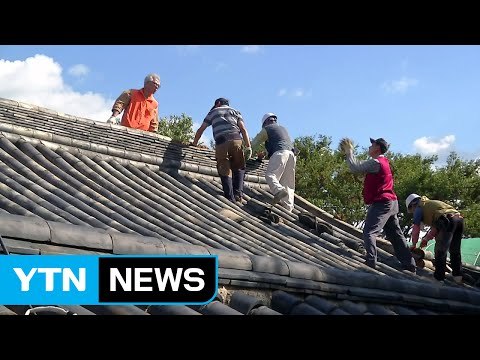 경주, 특별재난지역 선포 복구작업 속도 붙어 / YTN (Yes! Top News)