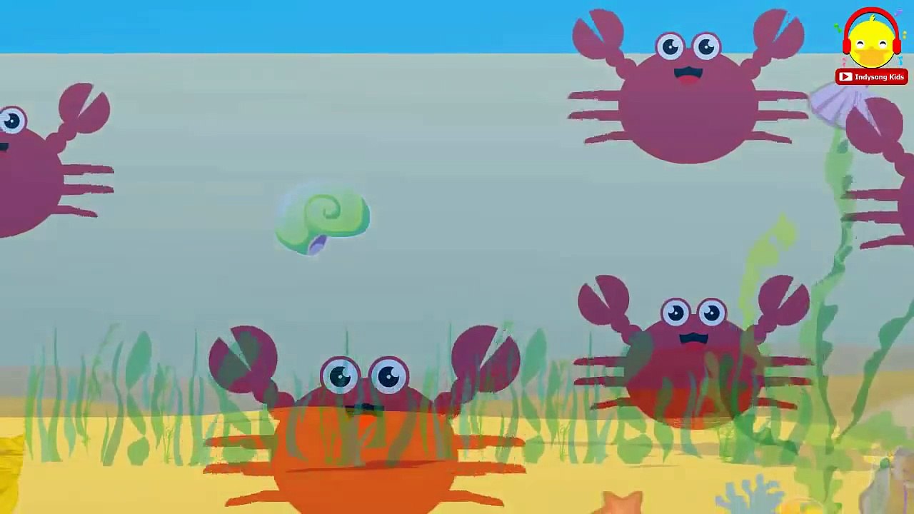 รวมเพลงเด็ก 20 นาที เพลงเป็ด ช้าง เต่า ลิง ม้า ปู แมงมุม มด และอีกหลายเพลง | เพลงเด็๋ก indysong kids