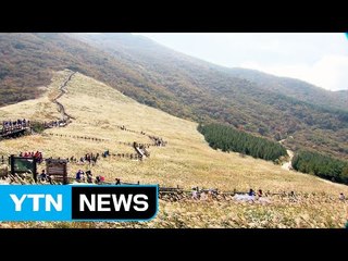 [울산] '영남알프스-별 헤는 밤'...우수 여행 상품 선정 / YTN (Yes! Top News)
