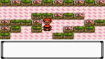 Pokemon Crystal: All Gym Leader Battles Part 1: (Johto)