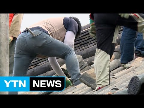 경주, 특별재난지역 선포 복구작업 속도 붙어 / YTN (Yes! Top News)