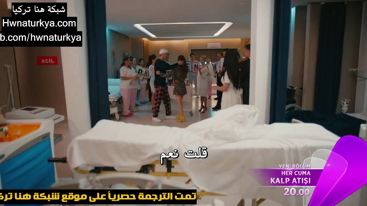 NBDT 2_cut