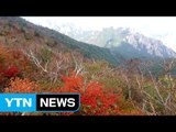 깊어가는 가을...설악산 첫 단풍 29일 / YTN (Yes! Top News)