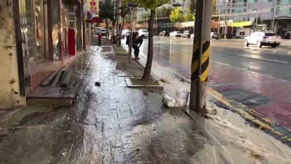 전문가가 꼽은 지진 가능성 높은 지역 / YTN