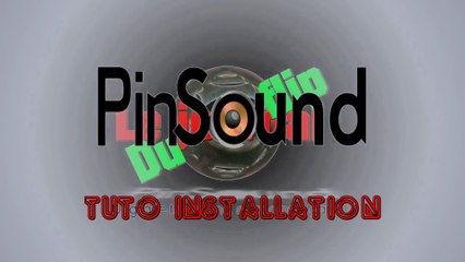 Le journal du flip spécial Pinsound