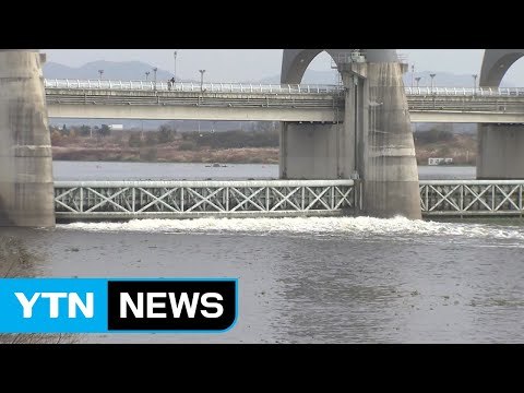 4대강 보 확대 개방...체계적 개방 관리 절실 / YTN