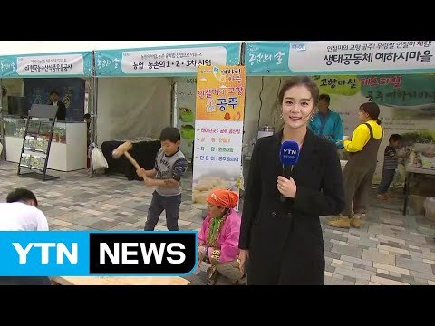 [날씨] 오늘 밤까지 전국 비...주말 초겨울 추위에 황사 / YTN