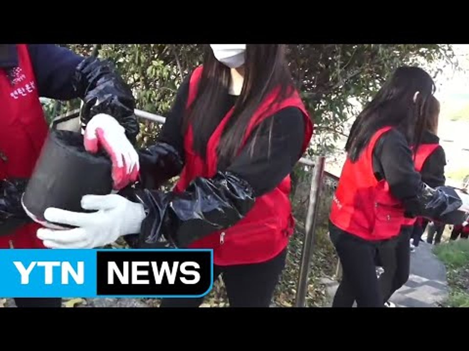 빼빼로 대신 연탄 배달 봉사 '훈훈' / YTN