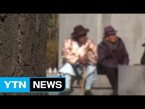 우리나라 66살 이상 노인 빈곤율 OECD최고 / YTN