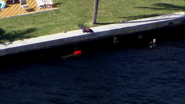 Manatee mishap: Sea cow caught in life jacket