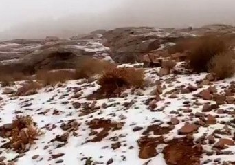 Saudi Mountain Gets a Rare Covering of Snow