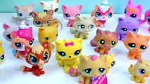 LPS Collection Tour Haul Video Bobblehead Littlest Pet Shop Kitty Cats Cookieswirlc Part 3 Toys