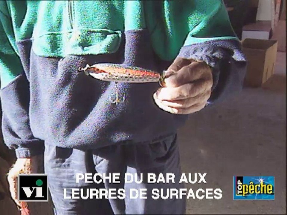 Pêche du bar aux leurres de surface