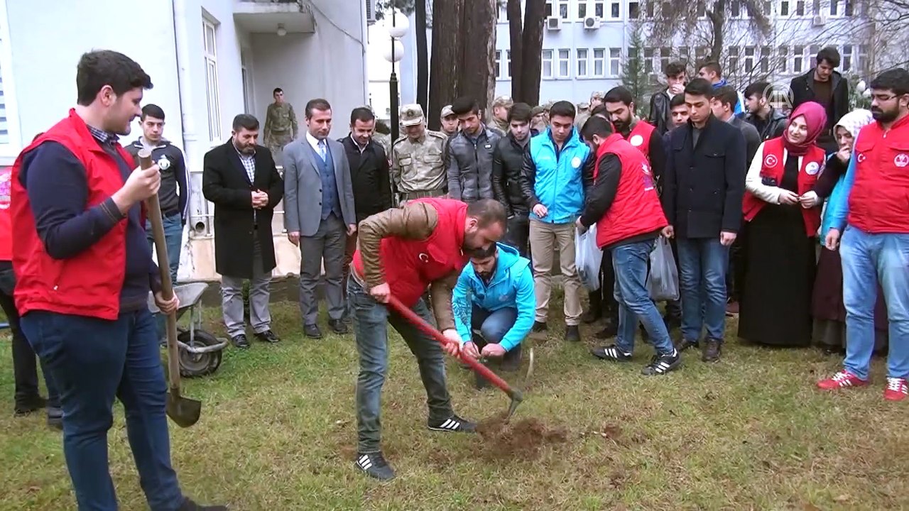 Adıyamanlı gençler zeytin fidanı dikti - ADIYAMAN