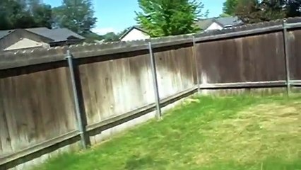 Talking Kitty Cat 19 - Sylvester Goes To Jail