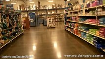 #Cats shopping at #PetSmart - OFF LEASH
