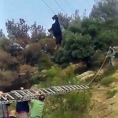 Grèce : une chèvre accrochée à un câble électrique par ses cornes !